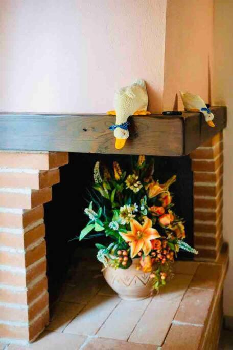 A Casa Di Claudia Apartment Saturnia Ngoại thất bức ảnh
